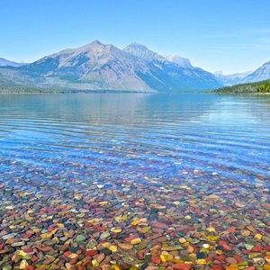 Meet your Posher, Freda